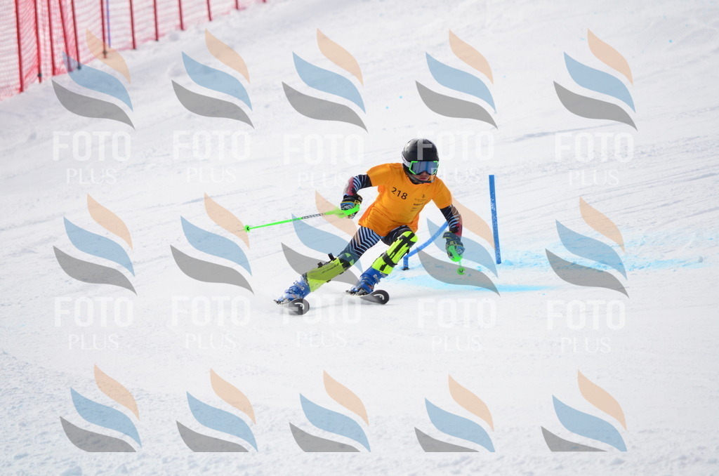 C8219 | holidayphoto