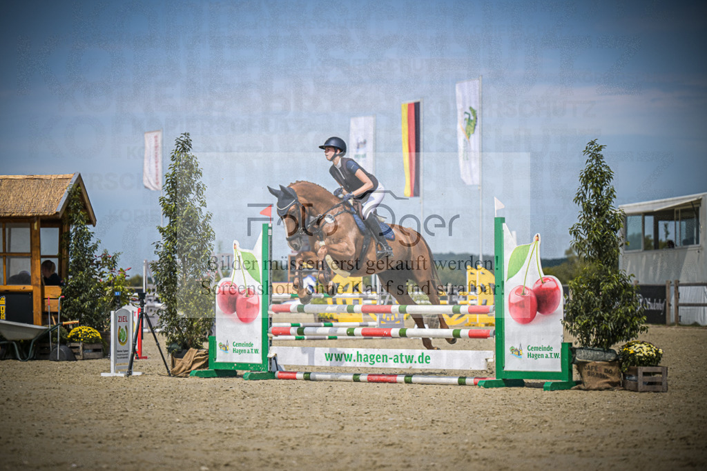 DOS_3880 | Entdecke hochwertige Reitturnierfotos von Foto Oger. Professionell, emotional und authentisch – jetzt Lieblingsmomente im Shop bestellen.Deutschlandweite Turnierfotografie. - Realisiert mit Pictrs.com