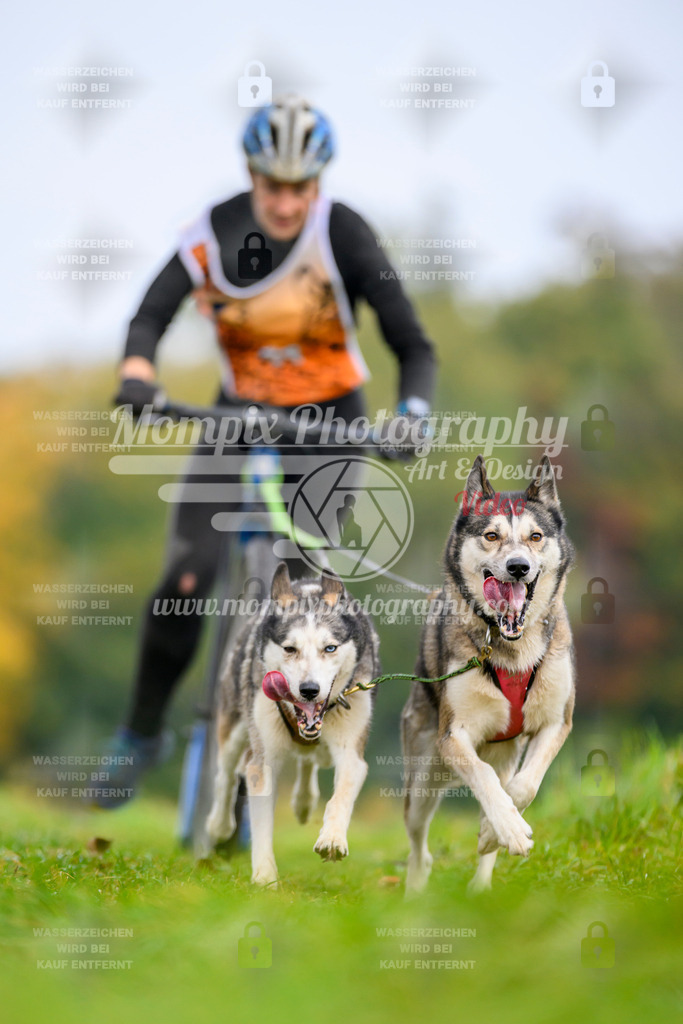 MompixPhotography_CDLBDB2025_DI_DS-22 | PayLife