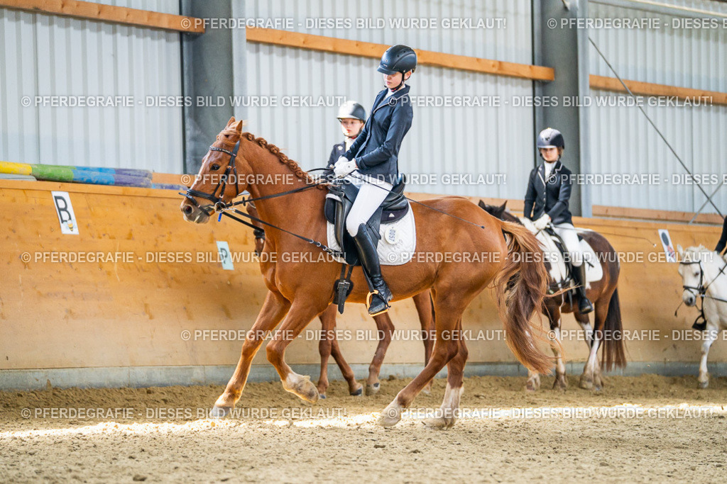 DSC03307 | Pferdegrafie