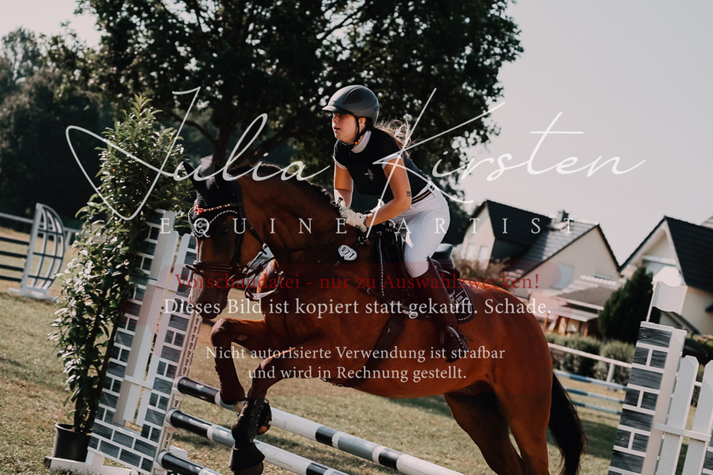 DSC_4673 | Pferde- und Turnierfotografie in Westsachsen. Pferdeportraits, Auftragszeichnungen und intuitive Kunst.