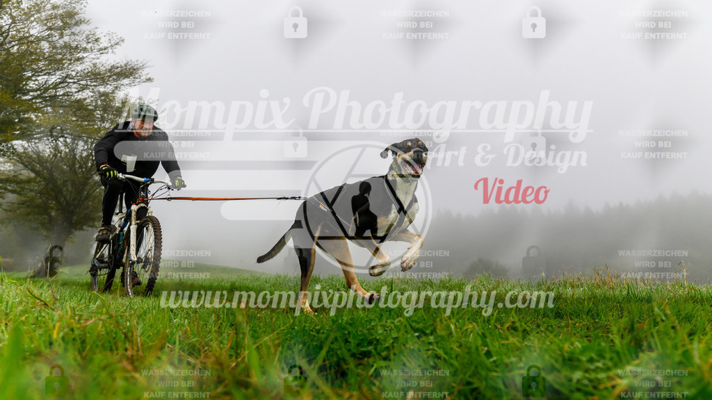 MompixPhotography_20TSB_E5_Bike-93 | PayLife