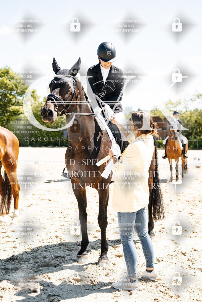 CK703530 | Turnierfotografie Pferdefotografie Trier Rheinland-Pfalz Pferdesport Reitsport Tierfotografie Sportfotografie Pferdevideo Pferdevideografie Equestrianvideography equestrianphotography  - Realisiert mit Pictrs.com