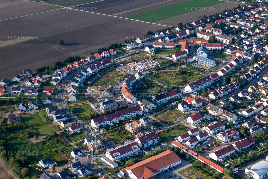 Luftbild: Medardusring in Mutterstadt im Bundesland Rheinland-Pfalz in Deutschland. Foto: IMG_71064.jpg vom 27.08.2014 durch Werner Riehm/FLY-FOTO.de
