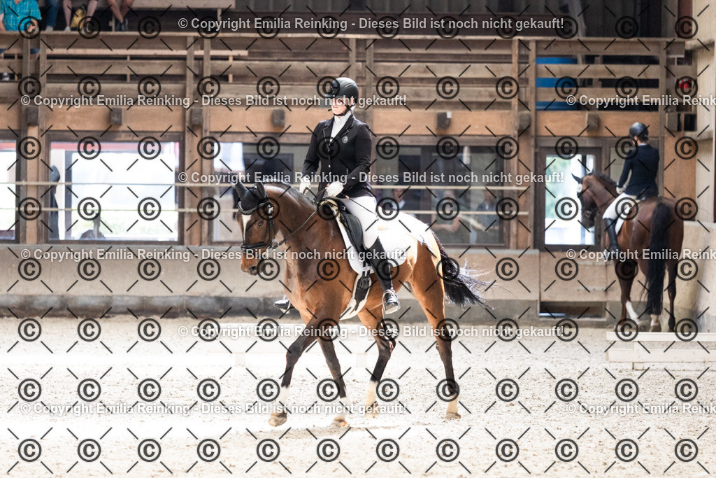 CL5A6090 | Emilia Reinking Fotografie - Realisiert mit Pictrs.com