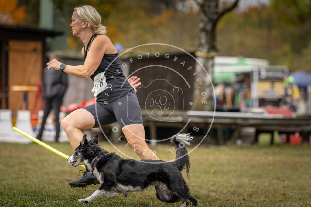 Pfotenfotografie_DV3A5550 | Hundefotografie, Tierfotograf, Pfotenfotografie, Fotoshooting Hund, Hunde Portrait, Hundesport, Hundeportraits, Heideshooting, Hunde, Sportfotograf, Hundefotograf, Turnierhundsport, THS,  - Realisiert mit Pictrs.com
