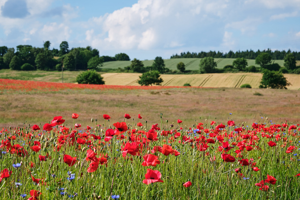 DSCF4853 | Entdecken Sie hochwertige Fotoprodukte für Ihr Zuhause, Büro oder als besonderes Geschenk.rpixel.de bietet Ihnen exklusive Fotografien aus den Bereichen Natur, Landschaft und Motiven vom Meer.Einfach direkt im Online-Shop bestellen. - Realisiert mit Pictrs.com
