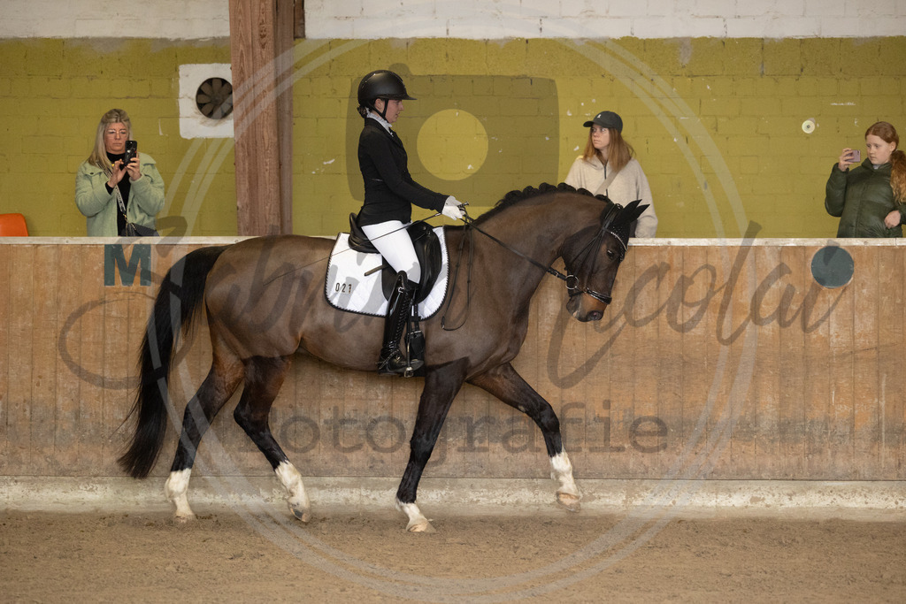 994A8823 | sabrinanicolaifotografie - Realisiert mit Pictrs.com