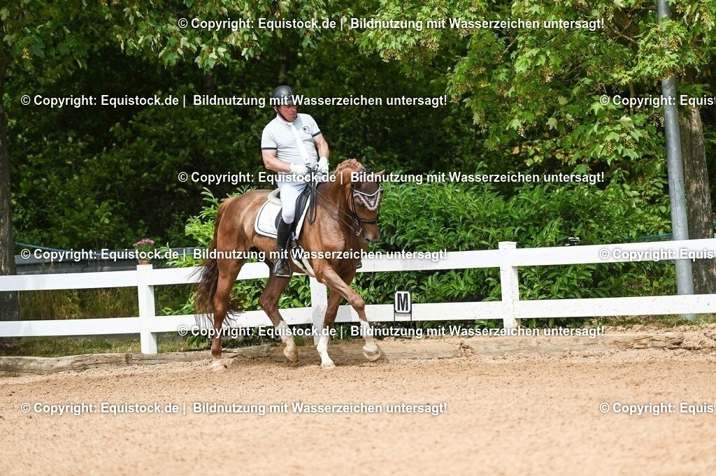 20230716_01_Dressurprüfung Kl.M_0086 | equistock