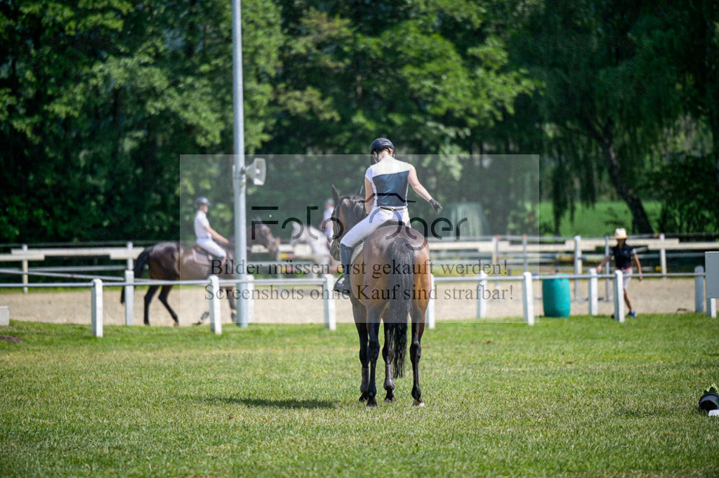 Reitturnier Voxtrup | Entdecke hochwertige Reitturnierfotos von Foto Oger. Professionell, emotional und authentisch – jetzt Lieblingsmomente im Shop bestellen.Deutschlandweite Turnierfotografie. - Realisiert mit Pictrs.com
