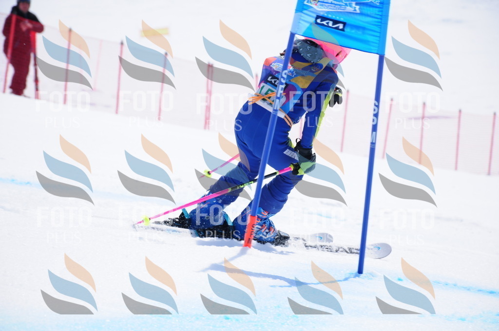 DSC_1367 | holidayphoto