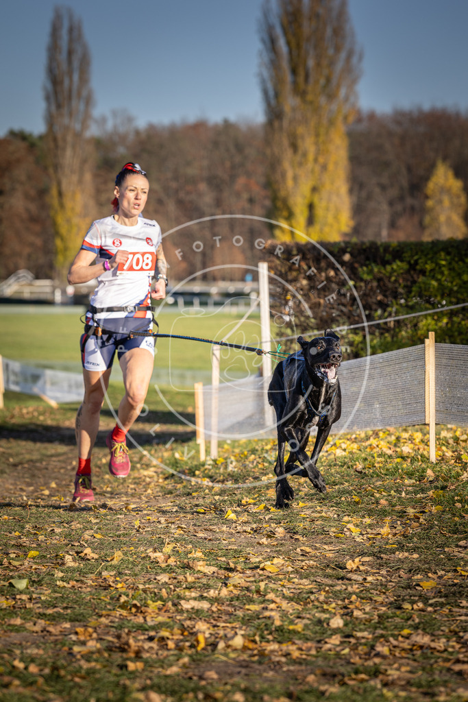 CaniXpix_DV3A1567 | Hundefotografie, Tierfotograf, Pfotenfotografie, Fotoshooting Hund, Hunde Portrait, Hundesport, Hundeportraits, Heideshooting, Hunde, Sportfotograf, Hundefotograf, Turnierhundsport, THS,  - Realisiert mit Pictrs.com