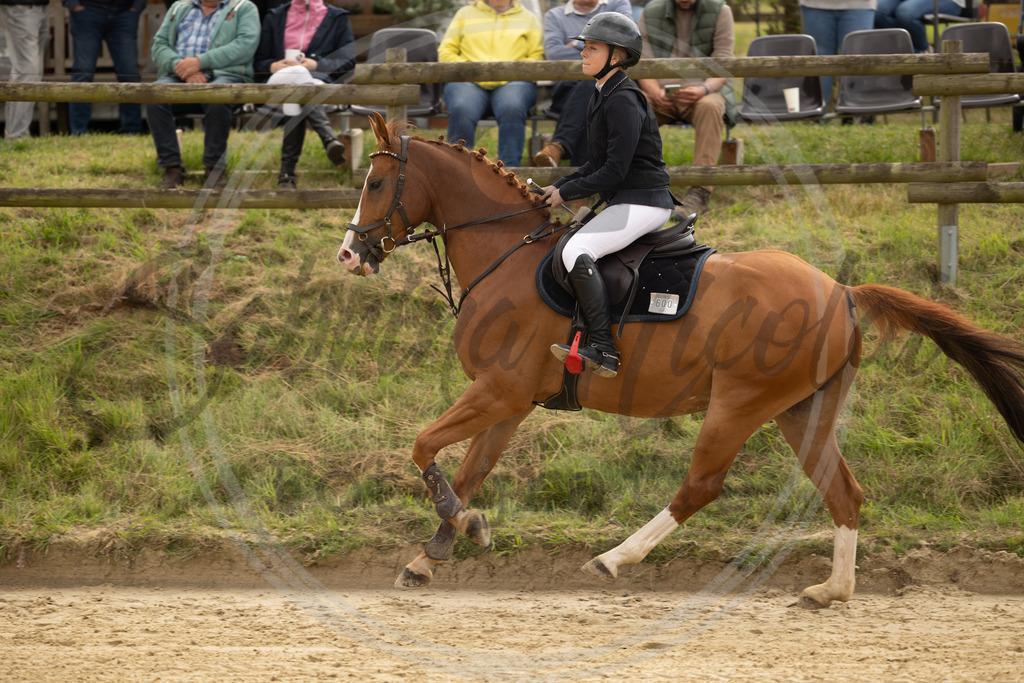 994A7766 | sabrinanicolaifotografie - Realisiert mit Pictrs.com