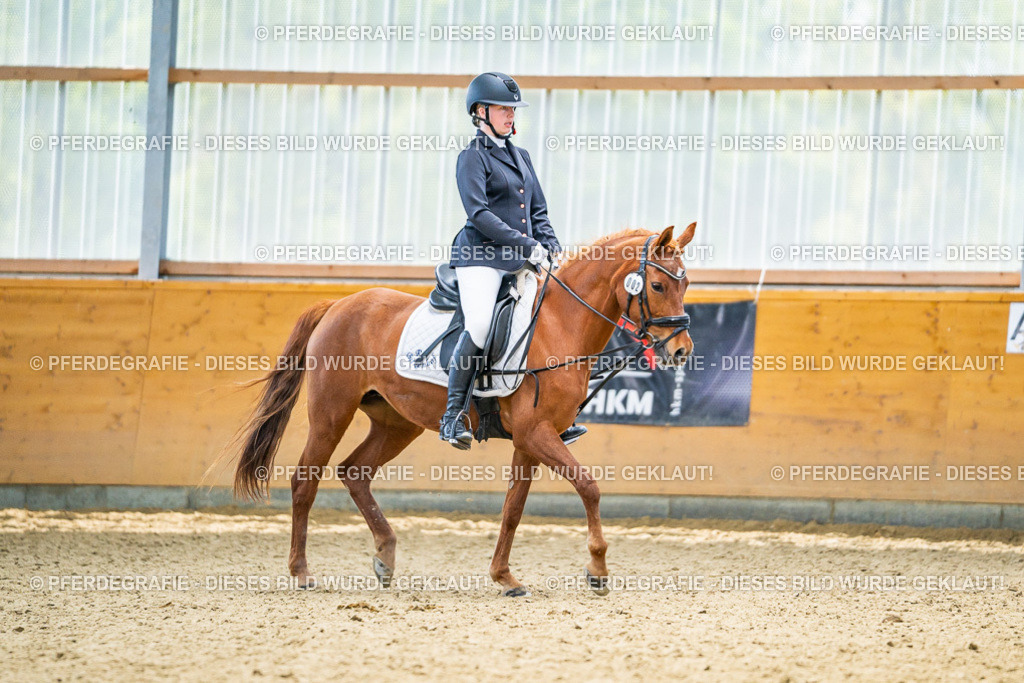 DSC04953 | Pferdegrafie