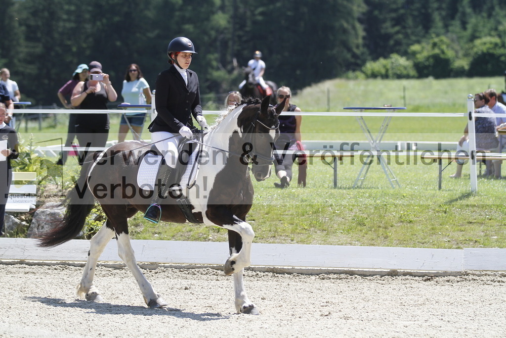 _MG_6733 | equestrian-live-com