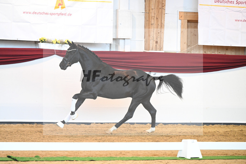 Kat-Nr. 51 v. Toto jr._Winklmaier_66220918 | hf-fotografie - Realizzato con Pictrs.com