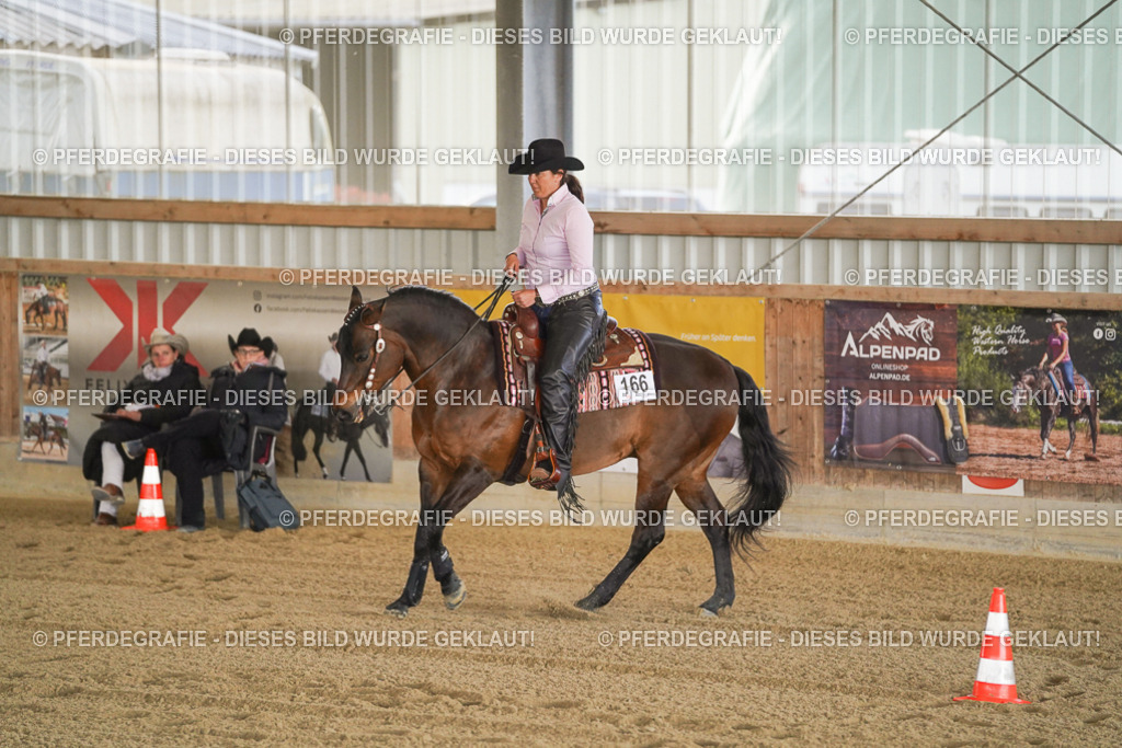 DSC00314 | Pferdegrafie