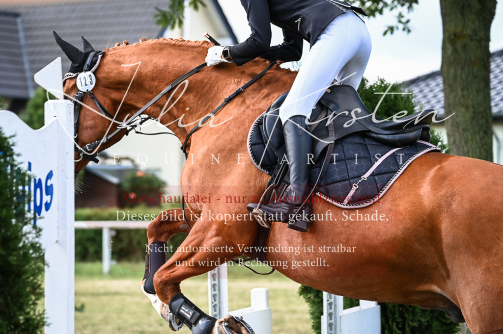 DSC_7962 | Pferde- und Turnierfotografie in Westsachsen. Pferdeportraits, Auftragszeichnungen und intuitive Kunst.