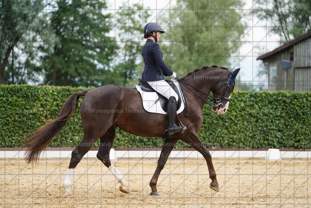 20240630-FAH02171 | Turnierbilder Schwabmünchen, Dressurbilder, Springreitturnier, Reitsportbilder, Turnierfotografen Bayern, Turnierfotograf