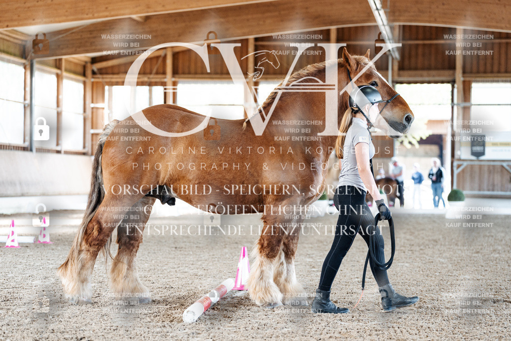 CK905473 | Turnierfotografie Pferdefotografie Trier Rheinland-Pfalz Pferdesport Reitsport Tierfotografie Sportfotografie Pferdevideo Pferdevideografie Equestrianvideography equestrianphotography  - Realisiert mit Pictrs.com