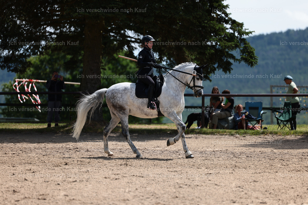 KlasseA_Stoibphotography_C2_L5519.JPG | working equitationturnier fotograf videograf stoibphotography marixx film working equitation deutschland reitsport turnierfotografie eventfotografie equestrian events