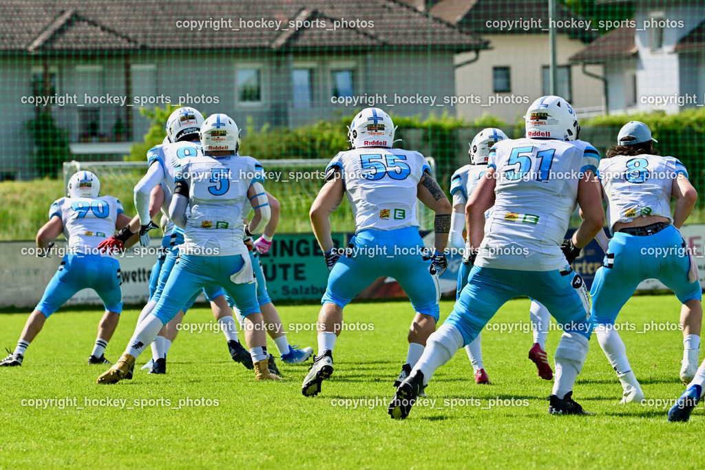 Carinthian Lions vs. Styrian Bears | Carinthian Lions vs. Styrian Bears, Carinthian Lions vs. Styrian Bears am 20.05.2024 in Klagenfurt (ASV Sportplatz), Austria, (Photo by Bernd Stefan)