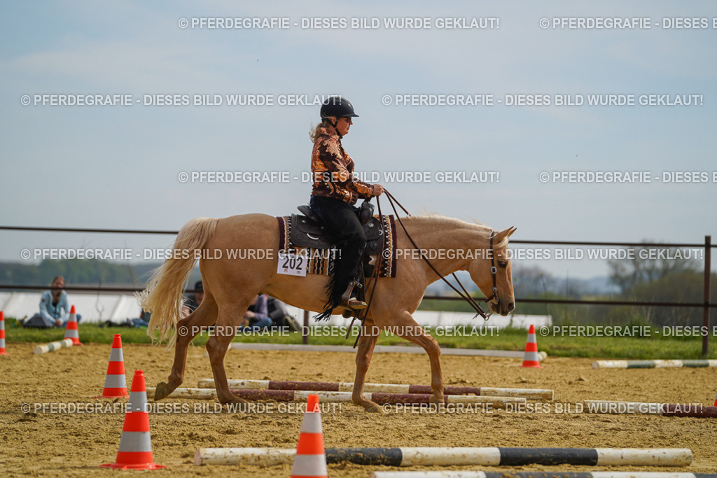 DSC02201 | Pferdegrafie