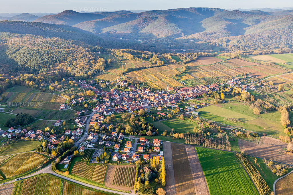 Luftbild: Weinbergen in Rott im Bundesland Bas-Rhin in Frankreich. – Foto: IMG_104418.jpg vom 31.10.2017 durch Werner Riehm/FLY-FOTO.de – Auflösung des Originals: 5472 x 3648 px