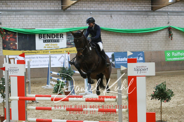 IMG_0589 | Turnierfotos kaufen im Webshop von Daniel Kuhl Photography – entdecke professionelle Reitsportfotos aus Turnieren & Events. Hochwertige Turnierbilder online bestellen & sichern. Jetzt Fotos von Reitsportturnieren kaufen!
