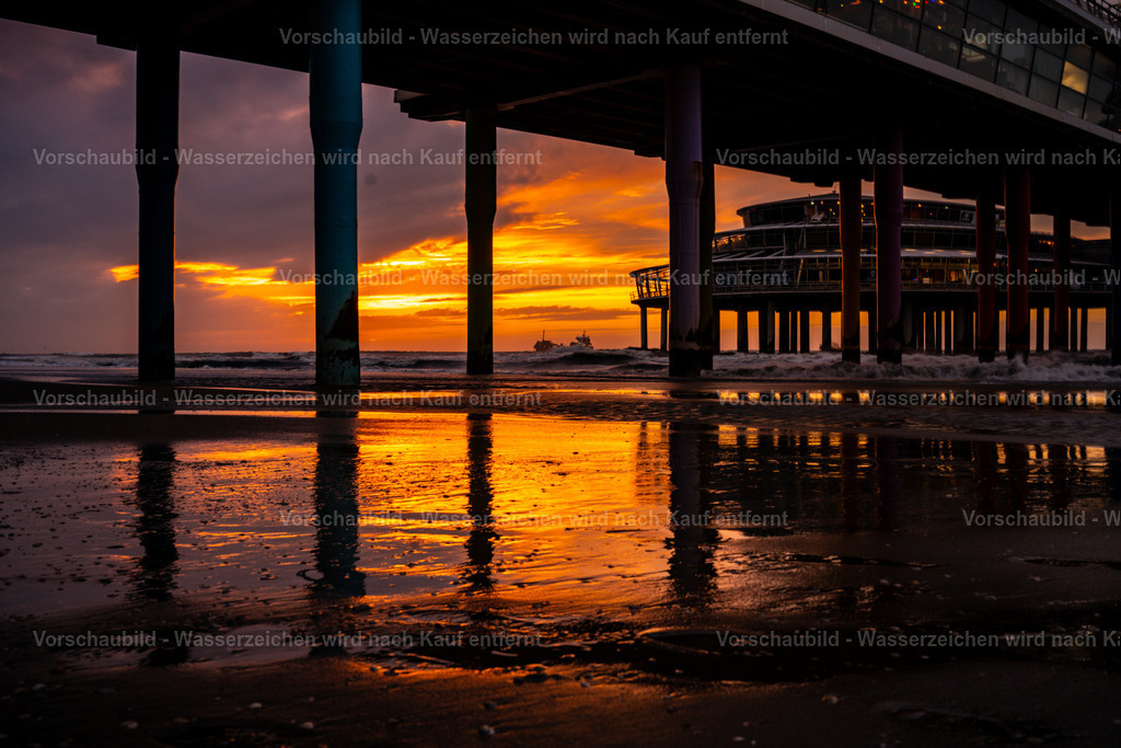 DSC00719 | marcuslinek