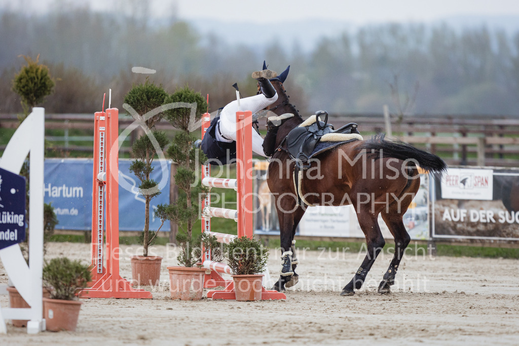 230408_Frühlingsfest_Stil-M-920 | Deine schönsten Turniermomente als professionelle Fotos! Entdecke hochwertige Pferdesport-Fotografie im Online-Shop. Jetzt Fotos finden & bestellen!