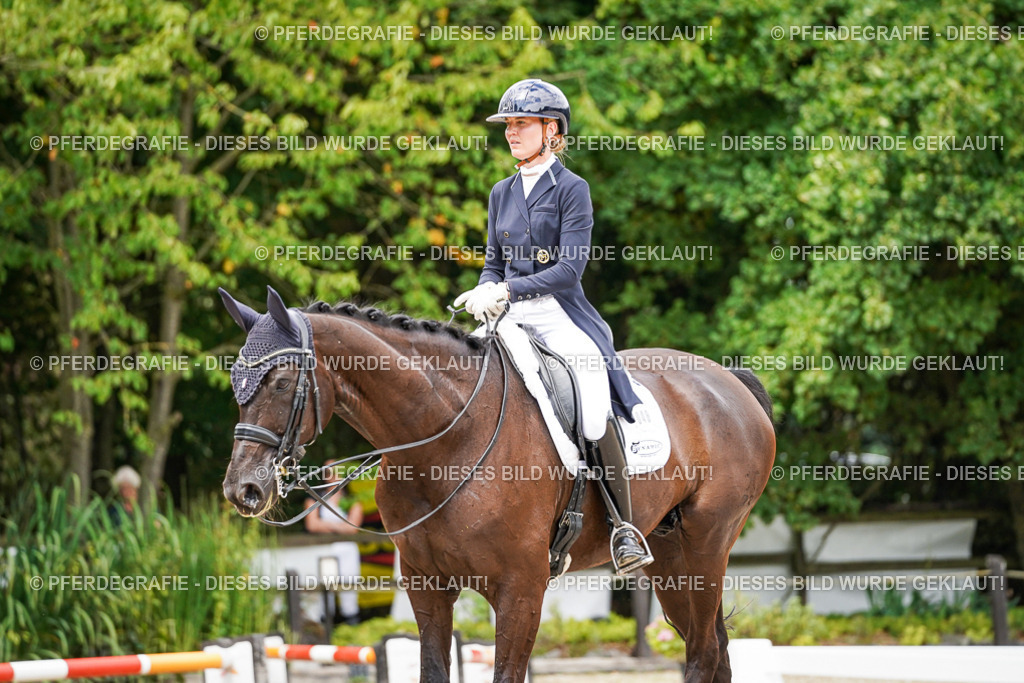 DSC06137 | Pferdegrafie