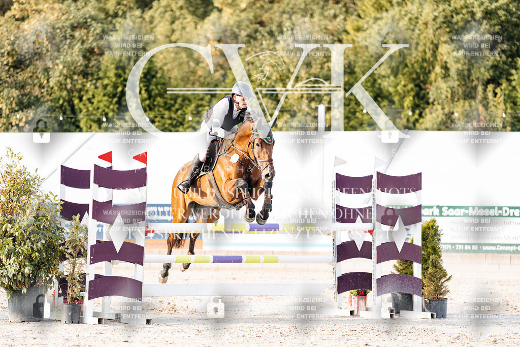 CK903583 | Turnierfotografie Pferdefotografie Trier Rheinland-Pfalz Pferdesport Reitsport Tierfotografie Sportfotografie Pferdevideo Pferdevideografie Equestrianvideography equestrianphotography  - Realisiert mit Pictrs.com