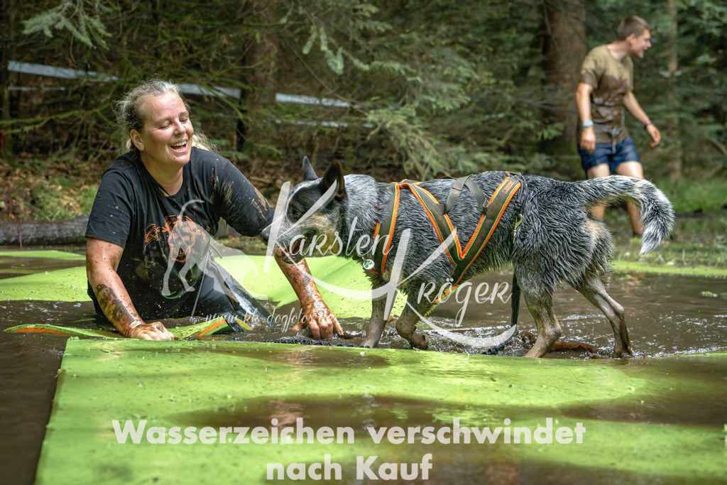 1531_ZZ91132-Bearbeitet | kk-dogfotos