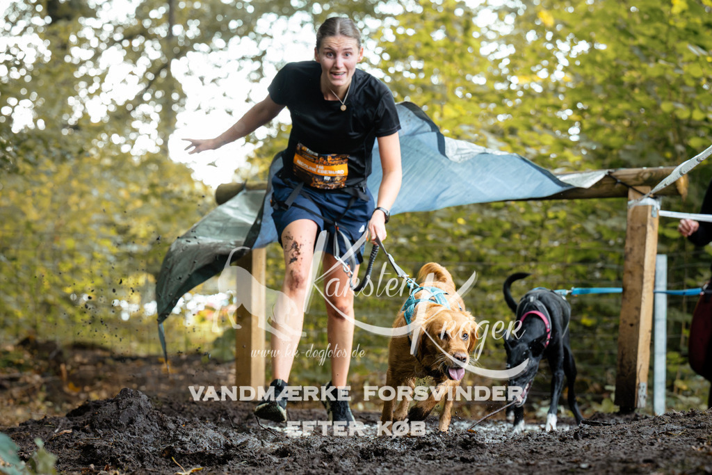 1410DZ6_1150Z6 | kk-dogfotos
