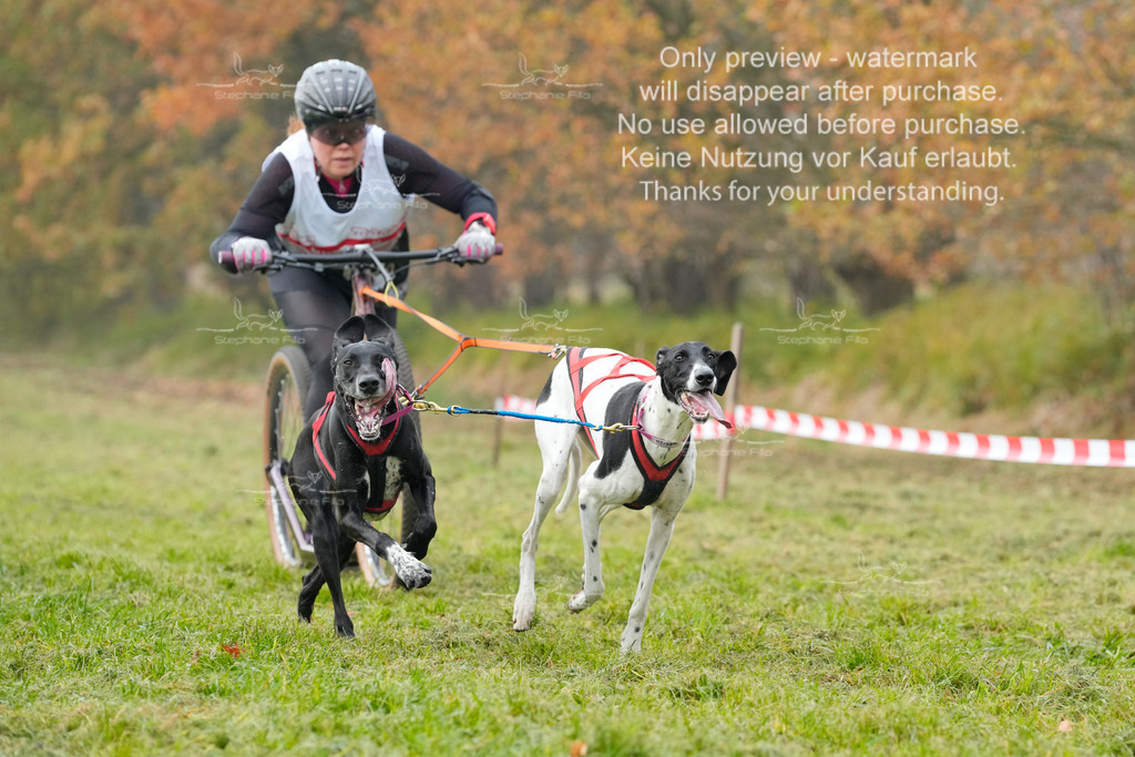 Visbeck_Sa_DS2DR2-84 | stephaniefillaphotographie - Realisiert mit Pictrs.com