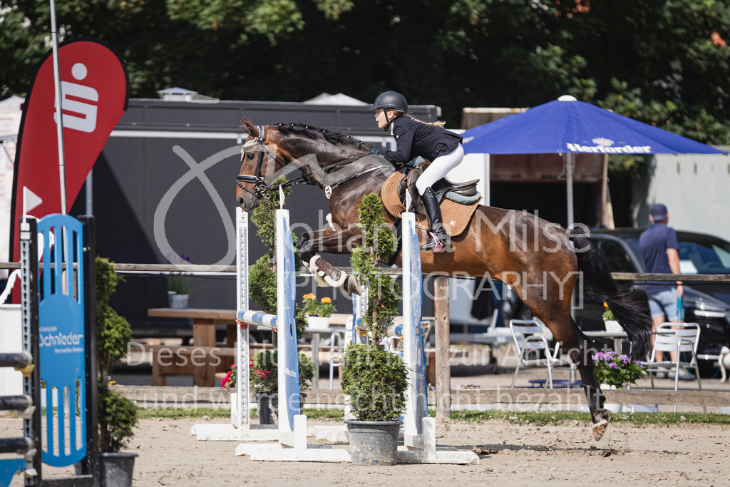 250628_PfSpTa_A2-Spr-228 | Deine schönsten Turniermomente als professionelle Fotos! Entdecke hochwertige Pferdesport-Fotografie im Online-Shop. Jetzt Fotos finden & bestellen!