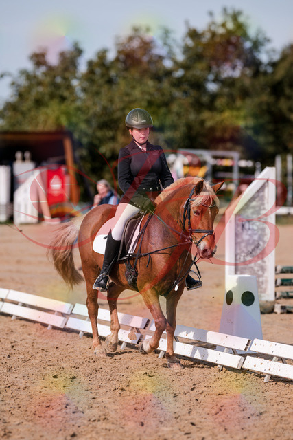 2026_10_03_Siefer-Hof_122041_Z81_20974238 | Professionelle Reitsport-, Turnier- und Eventfotografie von Robert Broda. Galerien mit ausgewählten und bearbeiteten Bildern direkt online ansehen und bestellen.