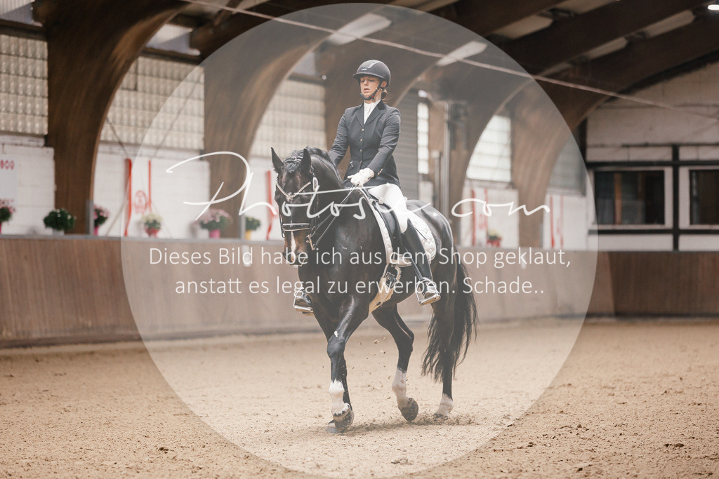 3I6A8717 | Stimmungsvolle Portraits und Reitsportfotografie im Ruhrgebiet und im Münsterland.

Pferdefotografie, Hundefotografie, Tierfotografie, Reportagen, Portraits von Tier und Mensch, Turnierfotografie in Bochum, Recklinghausen, Marl, Haltern am See, Dülmen.. - Realisiert mit Pictrs.com