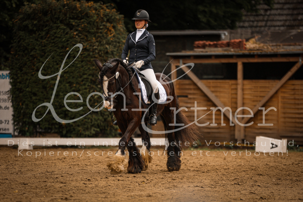 DoDrE00286 | Leoni Ertmer Photography - Realisiert mit Pictrs.com