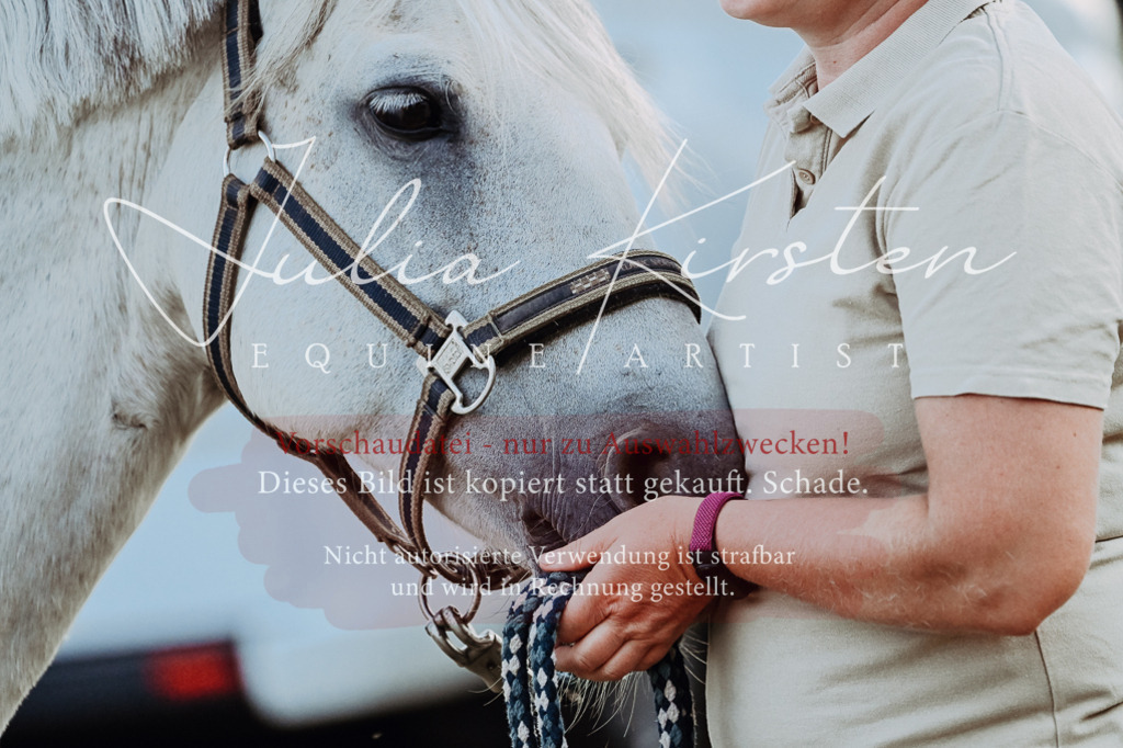 DSC_9308 | Pferde- und Turnierfotografie in Westsachsen. Pferdeportraits, Auftragszeichnungen und intuitive Kunst.