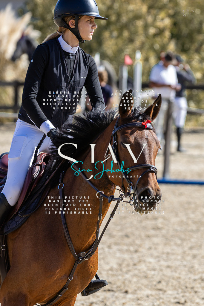 IMG_6399 | s-jay-photography - Realisiert mit Pictrs.com