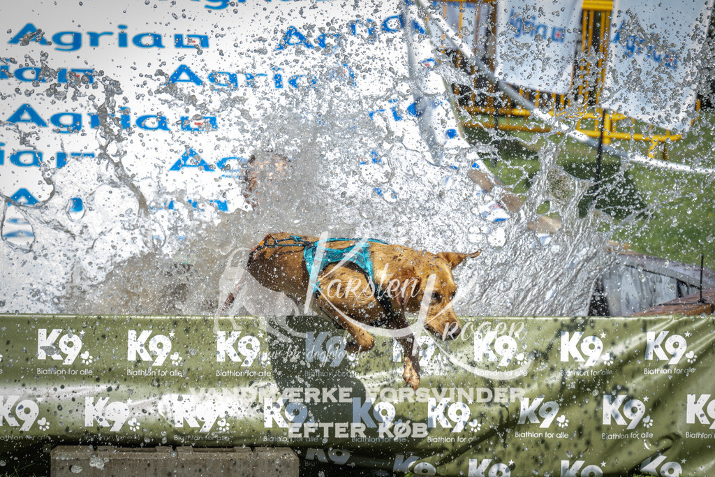 1442_ZZ95658 | kk-dogfotos