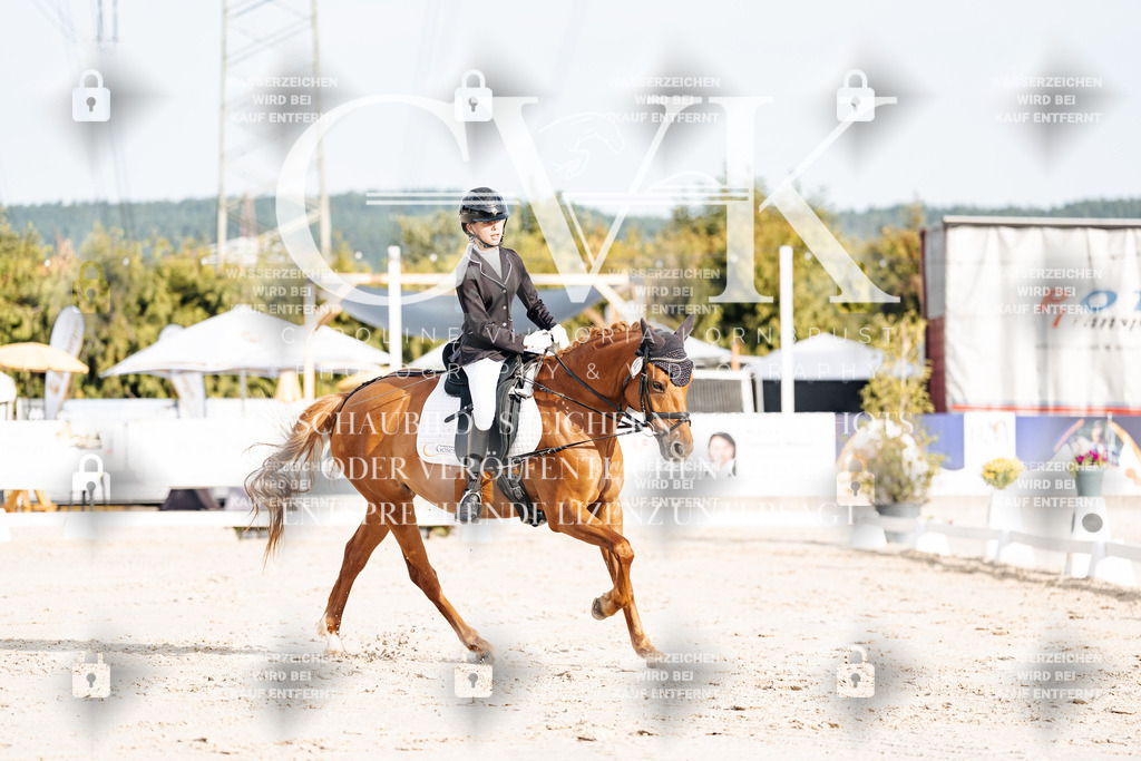 CK903818 | Turnierfotografie Pferdefotografie Trier Rheinland-Pfalz Pferdesport Reitsport Tierfotografie Sportfotografie Pferdevideo Pferdevideografie Equestrianvideography equestrianphotography  - Realisiert mit Pictrs.com