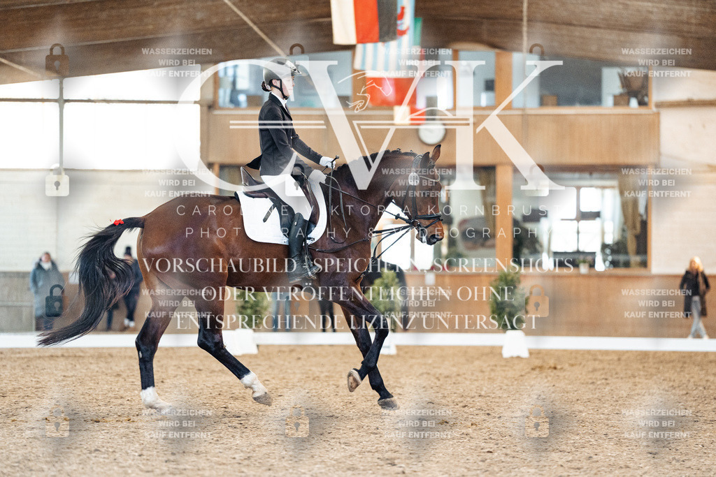 CK908082 | Turnierfotografie Pferdefotografie Trier Rheinland-Pfalz Pferdesport Reitsport Tierfotografie Sportfotografie Pferdevideo Pferdevideografie Equestrianvideography equestrianphotography  - Realisiert mit Pictrs.com