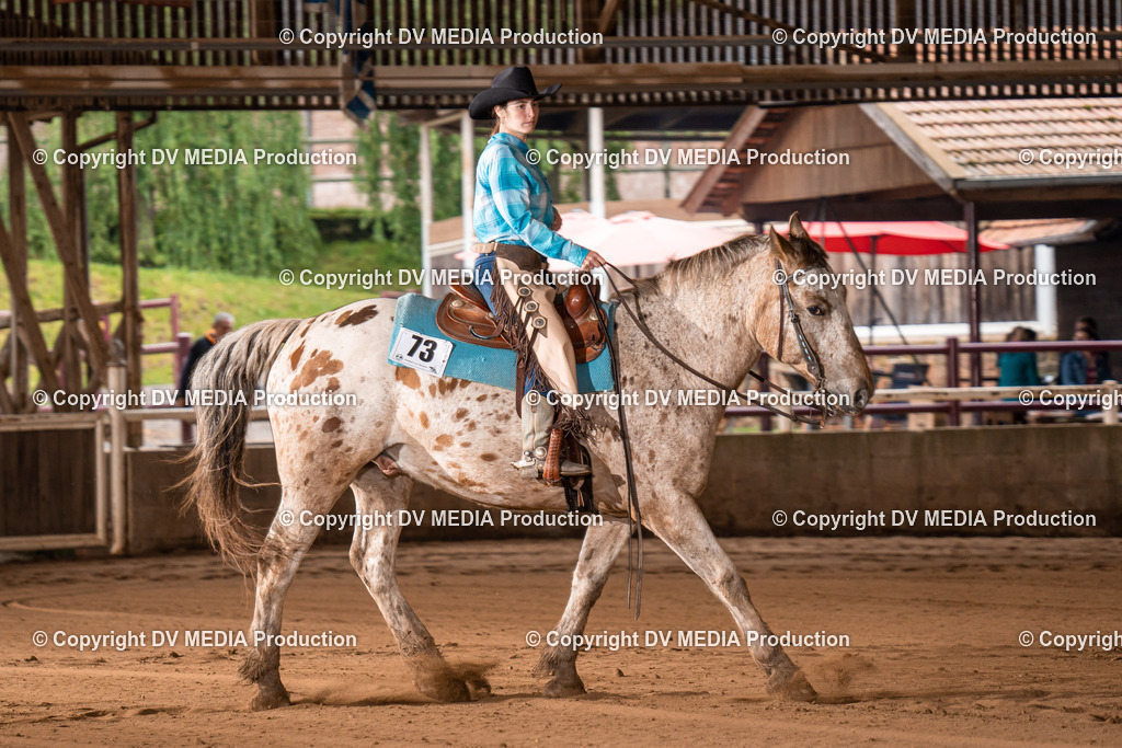 Erbach Tag 2-341 | dv-media-shop - Realisiert mit Pictrs.com