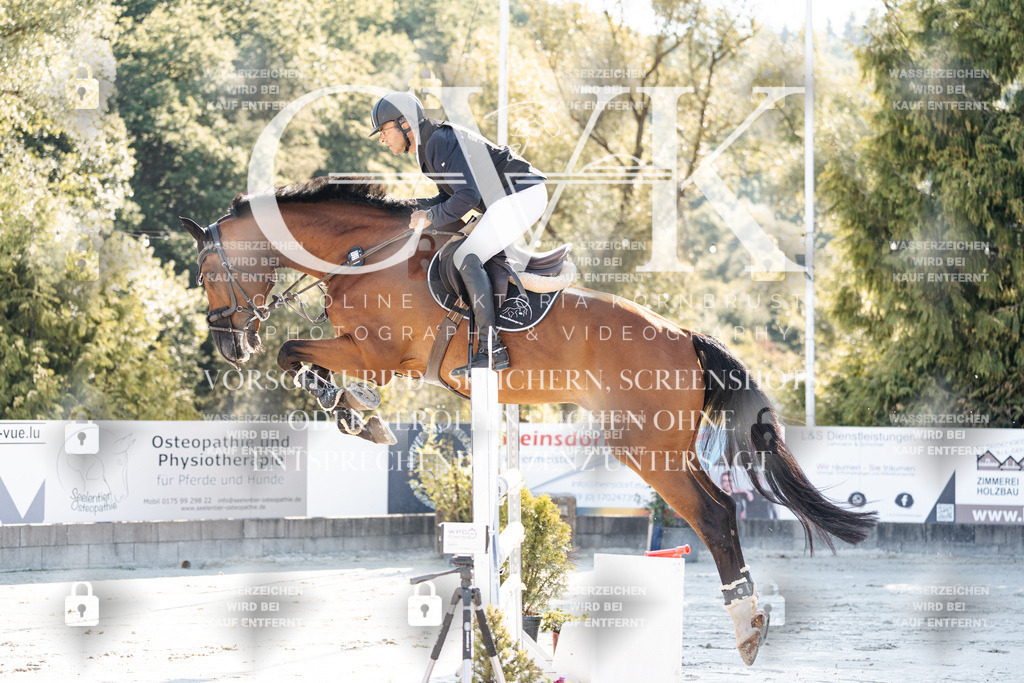 CK904196 | Turnierfotografie Pferdefotografie Trier Rheinland-Pfalz Pferdesport Reitsport Tierfotografie Sportfotografie Pferdevideo Pferdevideografie Equestrianvideography equestrianphotography  - Realisiert mit Pictrs.com