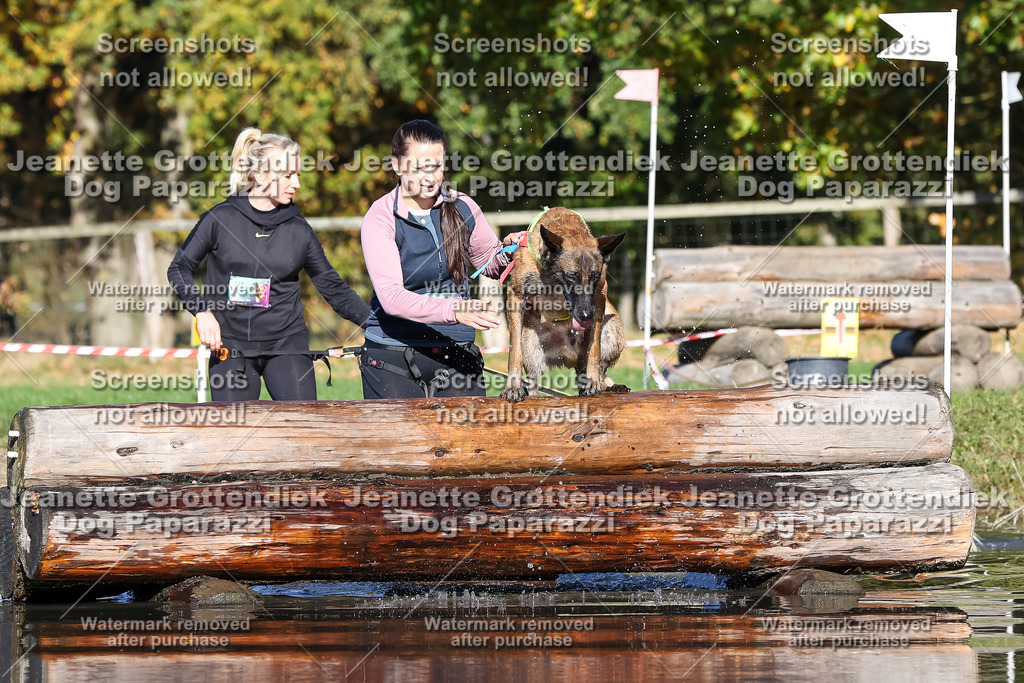 Dog Paparazzi - Strongdog 10-25-8932 | Dog Paparazzi Jeanette Grottendiek Fotografie & Videografie - Realisiert mit Pictrs.com