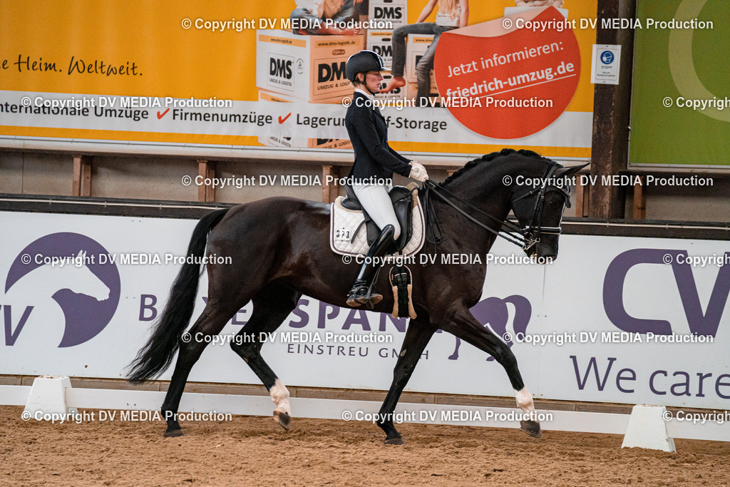 Kranichstein Tag 1-335 | dv-media-shop - Realisiert mit Pictrs.com