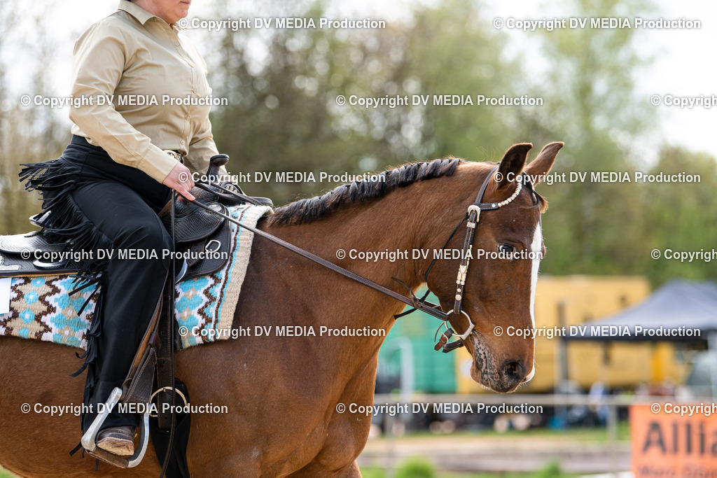 Heiligenwald Tag 1-501 | dv-media-shop - Realisiert mit Pictrs.com